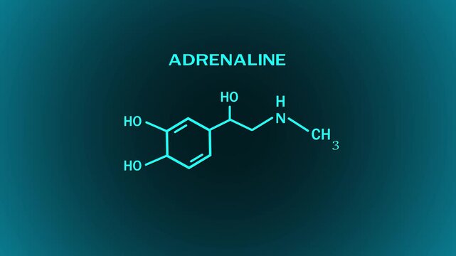 4k resolution of Adrenaline or epinephrine hormone chemical structure Molecular structure of chemical elements icon.