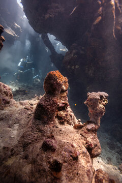 Vertical view of a coral reef cave with scuba divers and sun rays underwater