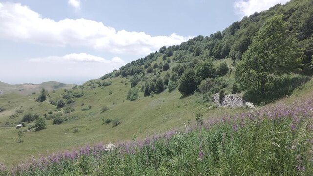 High-angle panoramic shot of Busa Novegno, a scenic alpine basin on Mount Novegno in Schio, Vicenza, Italy. The video showcases the lush green mountain pastures, winding dirt roads, and historical WW1