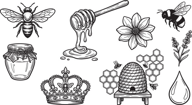 Queen Bee With Crown Images – Browse 2,689 Stock Photos, Vectors