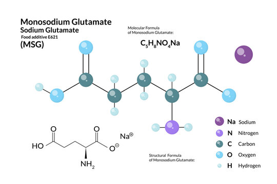 Monosodium Glutamate (MSG, E621) Chemical Structure and Structural Formula, 3D Ball-and-Stick Molecular Model with Color-Coded Atoms, Scientific Vector Illustration