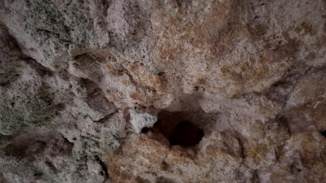 Xemxija, Malta 29.07.2026 - Heritage trail, Roman Baths, shelf like cut in the stone Dark cave walls show rough, textured surfaces. Greenish moss grows on damp, uneven stone. Light filters through nar
