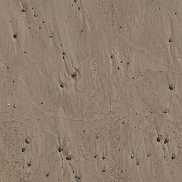 Wet beach sand texture background with small seashells and pebbles, natural brown desert soil backdrop with water ripples for coastal architectural rendering