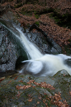 Small waterfall cascading over mossy rocks in a peaceful autumn forest with fallen orange leaves