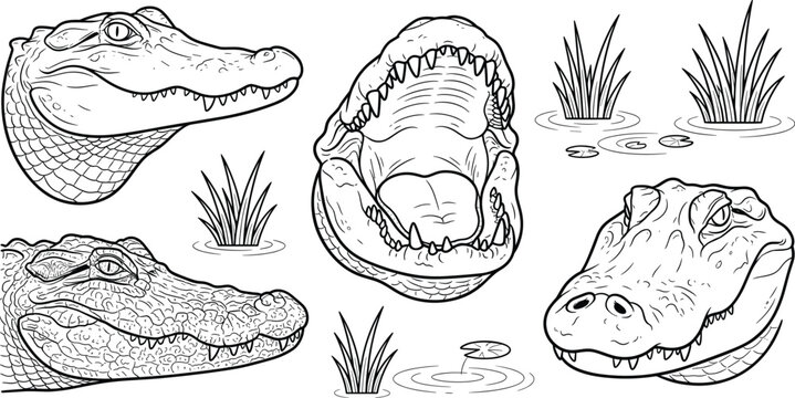 Crocodile head vector set representing alligator wildlife swamp animal nature reptile outline and predator