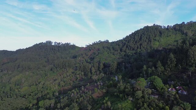 Aerial View of Lush Tropical Mountain Landscape