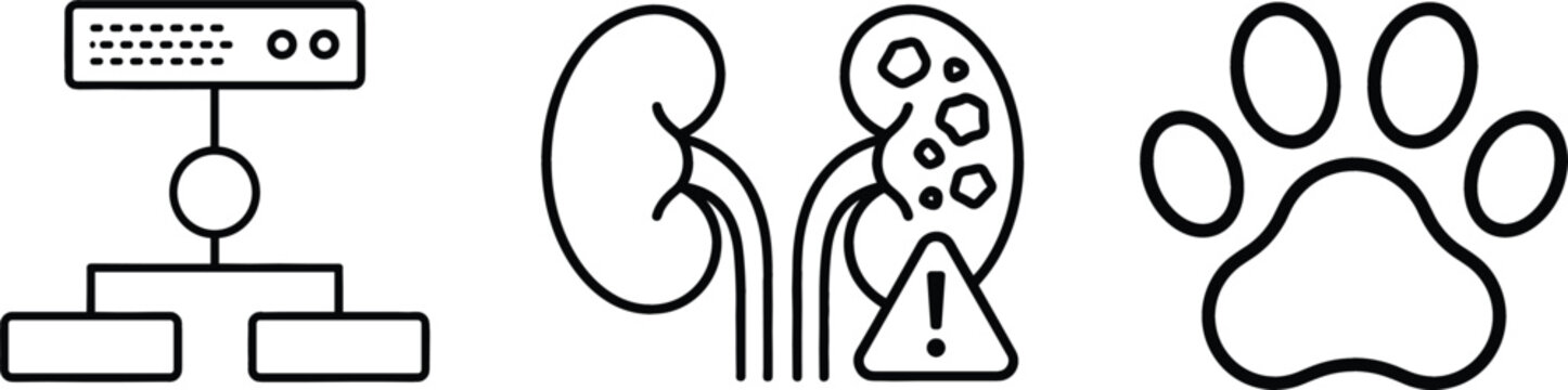 Vector line icon set featuring local network database human kidney disease warning animal paw,
