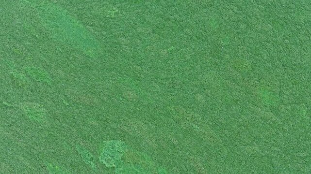Aerial View of Lake Limboto in Gorontalo