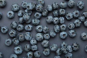 Blueberry on dark blue background. Top view © Mouse family