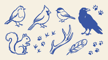 Blue hand drawn woodland animal illustrations vector set featuring birds squirrel antler feather and footprints © Zyariss
