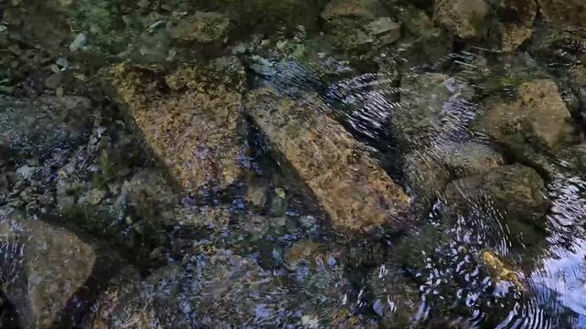 Clear water flowing over rocky creek bed, transparent stream details in daylight. Concept: clean environment resource