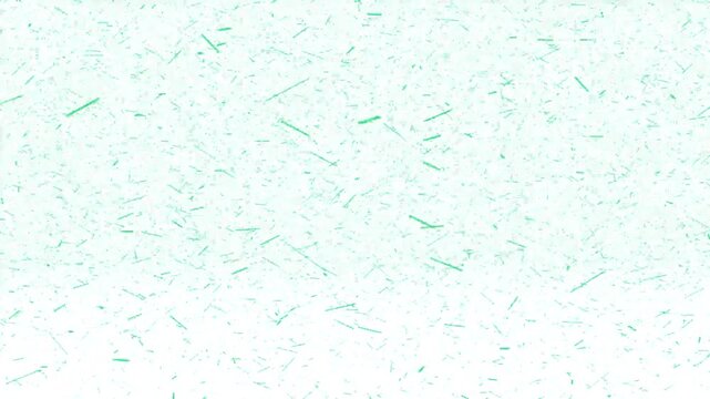 Green Abstract Particle Shapes Falling Like Snow on White Background 4K Motion Graphics Stock Footage.