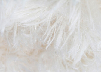 Soft White Fur Texture Background Close Up Macro Fabric Surface © Prajkta