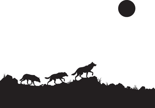 Black silhouette of a wolf pack walking on a rocky hill under a full moon, isolated on a white background, wildlife nature scene