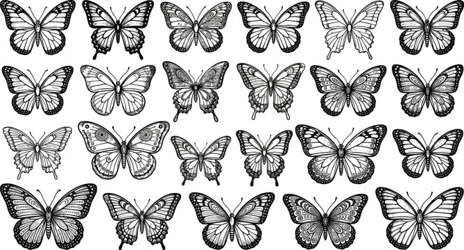 Detailed black and white butterfly sketch collection decorative vintage insect wings design bundle isolated on white background