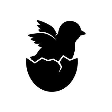 Black silhouette of a small baby bird hatching from a cracked eggshell on a white background, for easter or spring themes