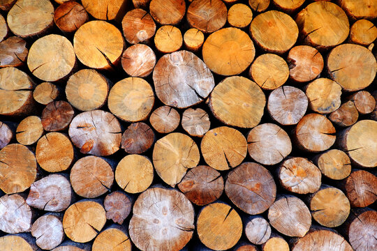 Rustic Cut Logs or Firewood Stacked Up Different Sizes of Logs and Wood Cut