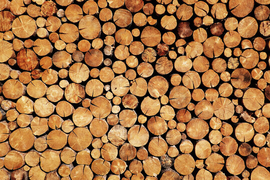 Rustic Cut Logs or Firewood Stacked Up Different Sizes of Logs and Wood Cut