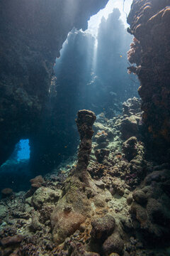Vertical view of a massive coral reef pinnacle inside a cave with sun rays