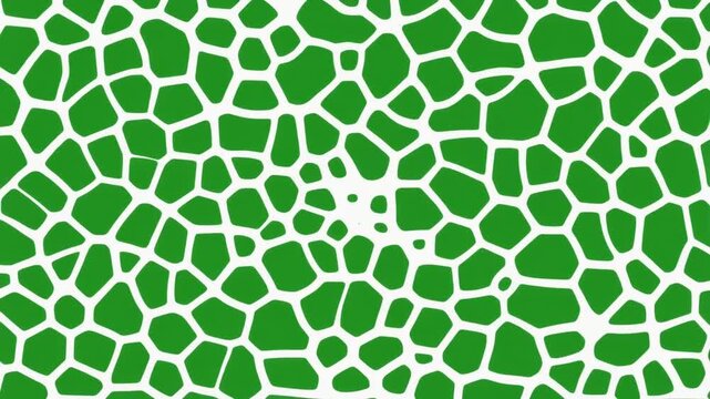 Voronoi Cells Green Screen Animation