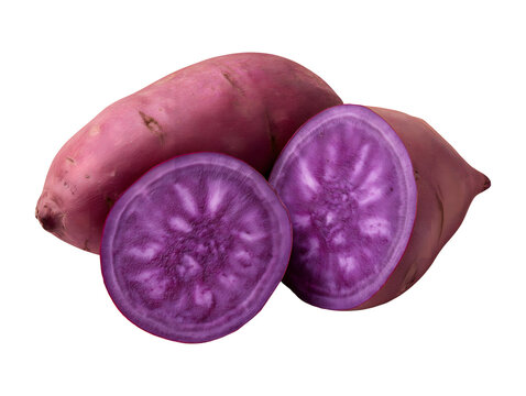 Purple sweet potato with halves isolated on transparent or white background, png