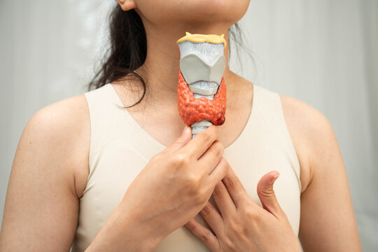 Hyperthyroidism, Overactive Thyroid, Thyroid Lymphoma, Asian woman with thyroid gland human anatomy model.