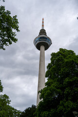 Fototapeta premium Television tower rising above trees near Luisenpark