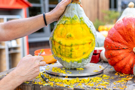 Hands of artist carve a large pumpkin into a comical face with exaggerated smile during Halloween preparation. Bright shavings and tools on the table show artistic festive process