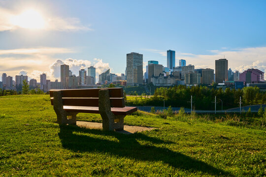 Edmonton Skyline Park Bench