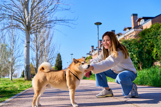 Mature woman interacting with her shiba inu dog outdoors
