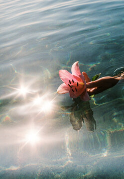 Hand holding a lily flower in the sea water