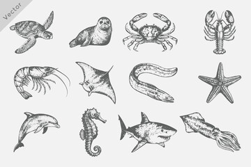 Obraz premium sea elements in Hand drawn sketch style including Sea Turtle, Dolphin, Shark, Octopus, Jellyfish, Starfish, Seahorse, Eel, Crab, Shrimp Vintage engraving style vector illustration.