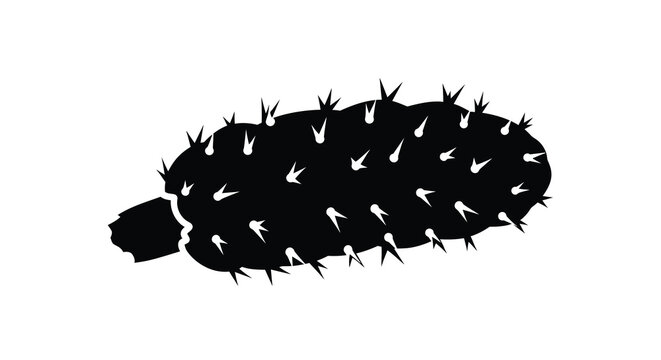Prickly pear cactus silhouette against a white background a botanical illustration nopal