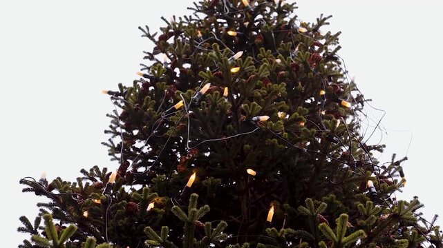Gro&szlig;er beleuchteter Weihnachtsbaum im Freien