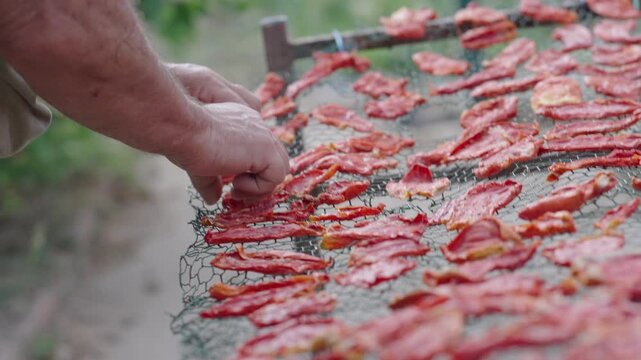 Person Turning Tomatoes During Traditional Food Preservation Process [180&deg; shutter angle Sony G from ProRes 442 25p 10 bit S-Log3]