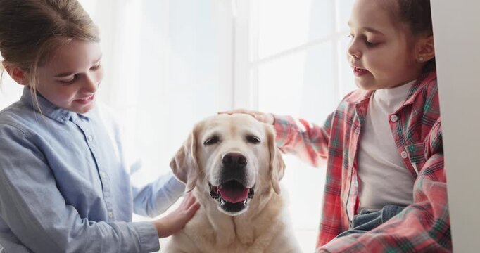 Children siblings dog labrador retriever pet friendship. Two happy kids pet a gentle Labrador by a bright window at home, showing warmth and responsible care. Clear love and bonding concept.