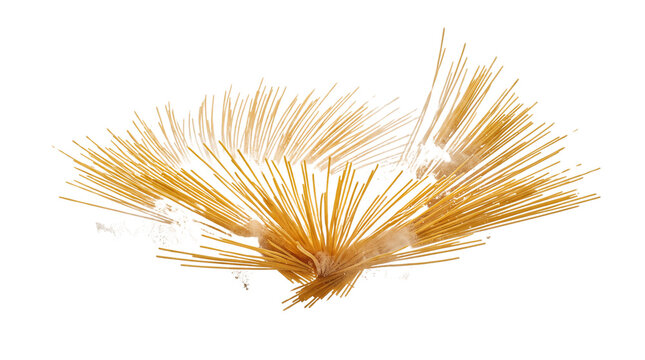 Dry spaghetti pasta explosion, flying uncooked Italian noodles in motion, golden wheat semolina pasta sticks scattered for culinary design isolated PNG with Transparent Background