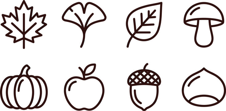 Minimalist autumn line icon set featuring maple leaf ginkgo pumpkin apple mushroom acorn and chestnut isolated on white background vector illustration.