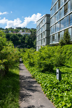 Through dense greenery, a pedestrian pathway enters La Confluence, revealing residential landscape design as summer light reaches the hillside beyond Lyon, France