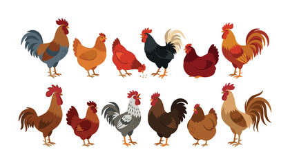 Domestic farm poultry set with different breeds of roosters and hens standing pecking and crowing vector © MDABULKALAM