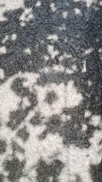 Patterns of shadows on pavement during a sunny day