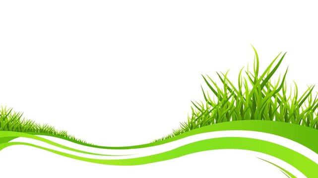 Green Grass Wavy Border Animation Transition on White Background for Spring and Nature Projects