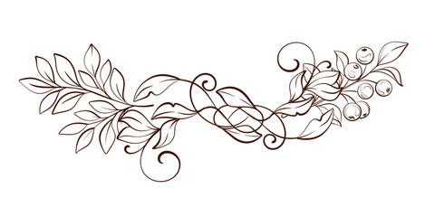 Elegant botanical divider with graceful curls and berry branch, fine line vector illustration in classic heritage style for stationery, certificates, branding and packaging © Yekaterina Kashutina
