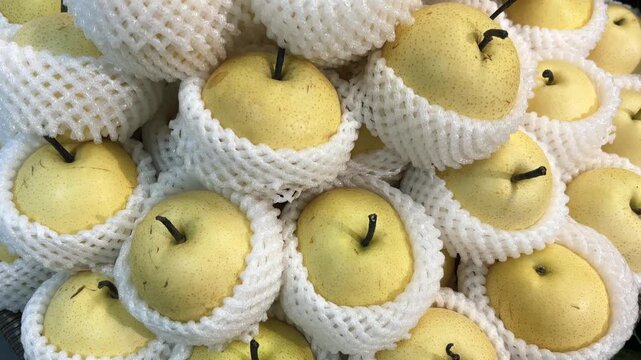 Fresh pears wrapped in protective foam. The pears are neatly arranged for display. Close up video. Horizontal 4K