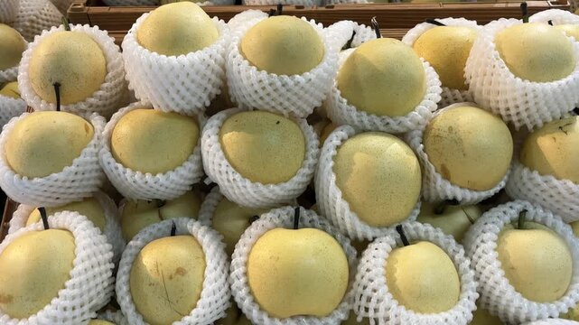 Fresh white pears, each wrapped in a protective foam net, are neatly arranged for display.