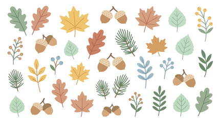 Autumn foliage and acorn botanical elements. © ahmad