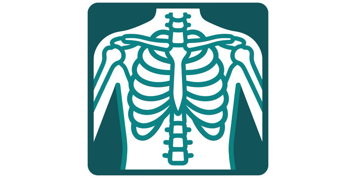 human skeleton xray medical diagnostic symbol isolated on transparent background
