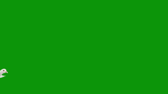 A flock of white doves flying gracefully across a vibrant green screen background, ready for digital compositing. Green Screen stabilized flying white birds left to right. flock of white birds flying 
