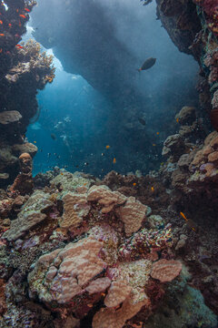 Vertical view of a mysterious coral reef cave and canyon underwater