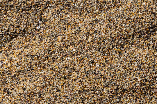 Sabbia di mare in granelli
